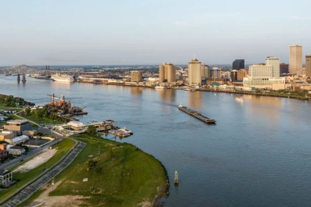 Louisiana secretary of state business search