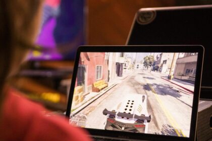 What was the first online multiplayer game​