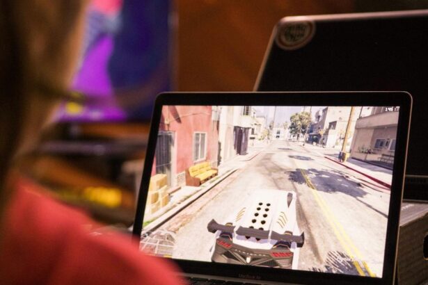 What was the first online multiplayer game​